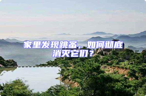 家里發現跳蚤，如何徹底消滅它們？