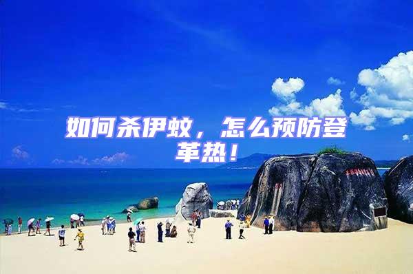如何殺伊蚊,怎么預(yù)防登革熱!