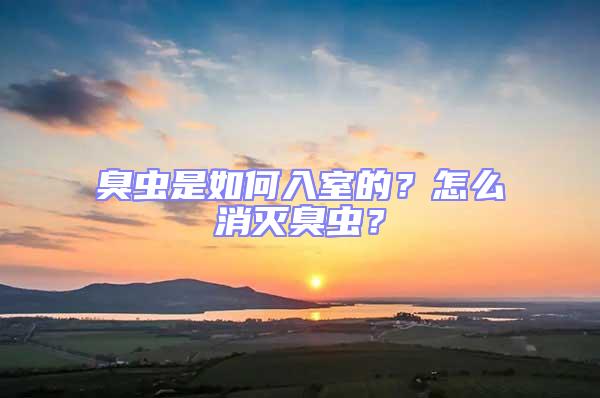 臭蟲是如何入室的?怎么消滅臭蟲?