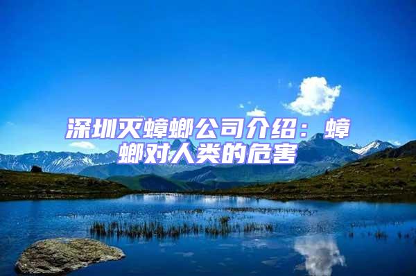 深圳滅蟑螂公司介紹:蟑螂對人類的危害