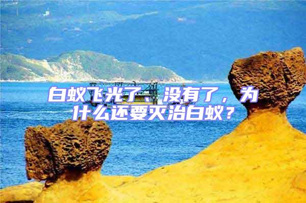白蟻飛光了、沒有了,為什么還要滅治白蟻?