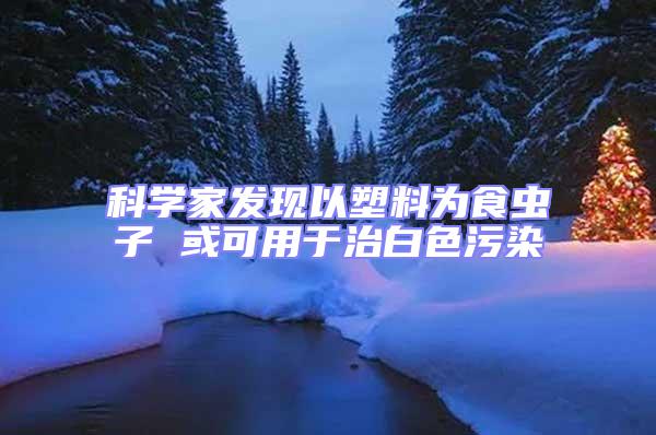 科學家發(fā)現(xiàn)以塑料為食蟲子 或可用于治白色污染