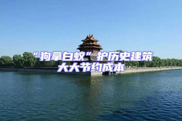 “狗拿白蟻”護(hù)歷史建筑 大大節(jié)約成本