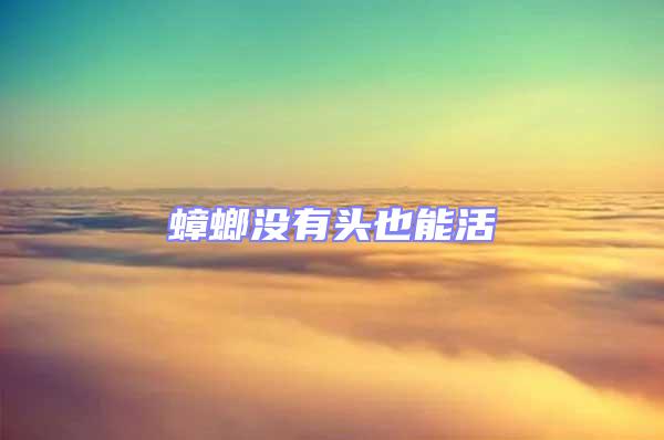 蟑螂沒(méi)有頭也能活