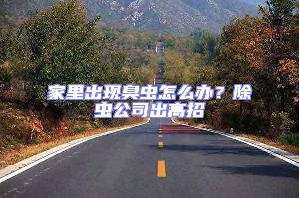 家里出現臭蟲怎么辦?除蟲公司出高招