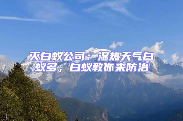 滅白蟻公司:濕熱天氣白蟻多,白蟻教你來防治