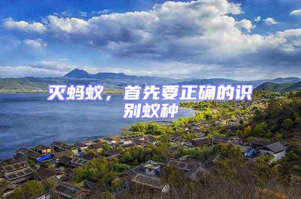 滅螞蟻，首先要正確的識(shí)別蟻種