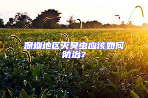 深圳地區(qū)滅臭蟲應(yīng)該如何防治?