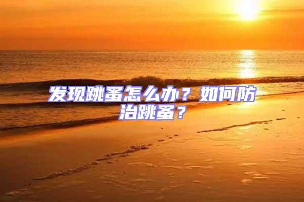 發(fā)現(xiàn)跳蚤怎么辦?如何防治跳蚤?