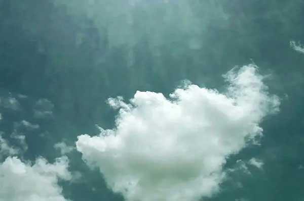 殺蟲(chóng)公司分享學(xué)會(huì)正確辨別螞蟻才能快速滅螞蟻