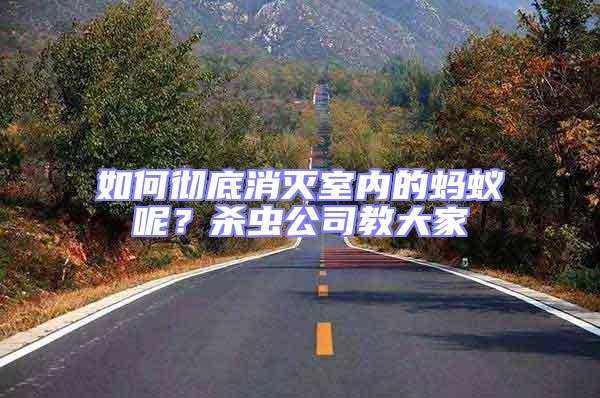 如何徹底消滅室內(nèi)的螞蟻呢?殺蟲公司教大家