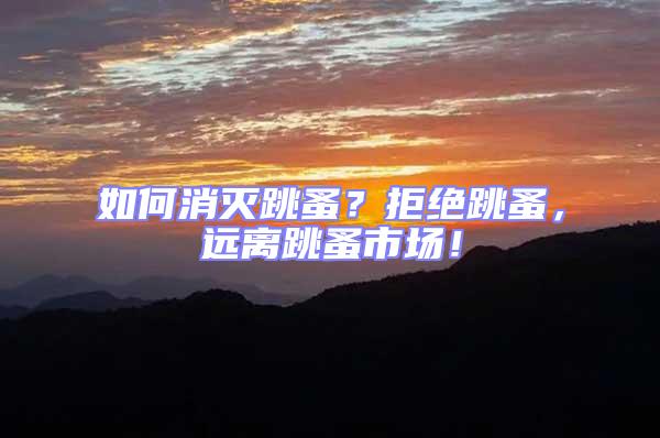 如何消滅跳蚤?拒絕跳蚤,遠離跳蚤市場!
