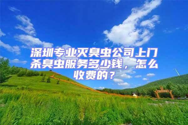 深圳專業(yè)滅臭蟲(chóng)公司上門(mén)殺臭蟲(chóng)服務(wù)多少錢(qián),怎么收費(fèi)的?