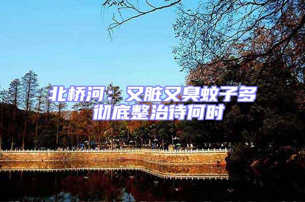 北橋河:又臟又臭蚊子多 徹底整治待何時