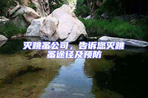滅跳蚤公司,告訴您滅跳蚤途徑及預(yù)防