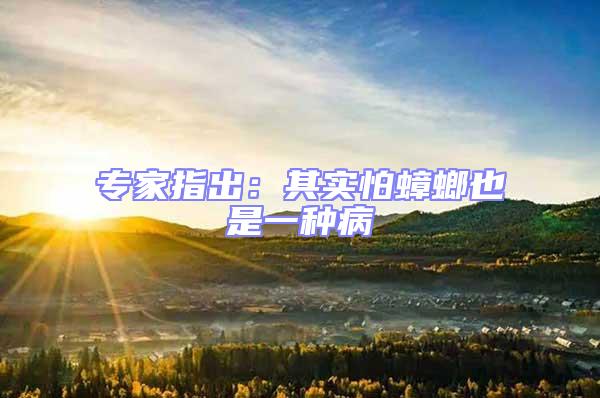 專家指出:其實(shí)怕蟑螂也是一種病