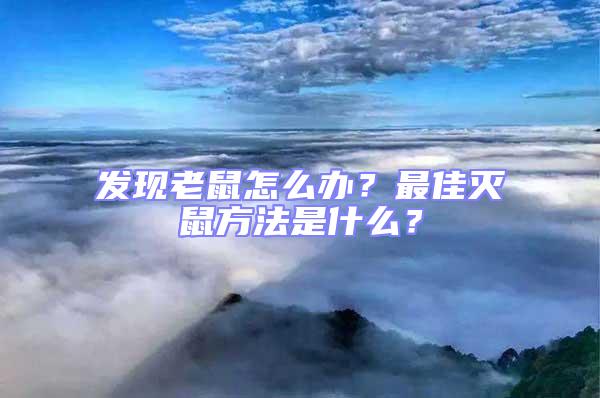 發現老鼠怎么辦？最佳滅鼠方法是什么？