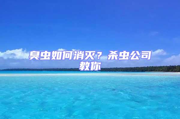 臭蟲如何消滅？殺蟲公司教你