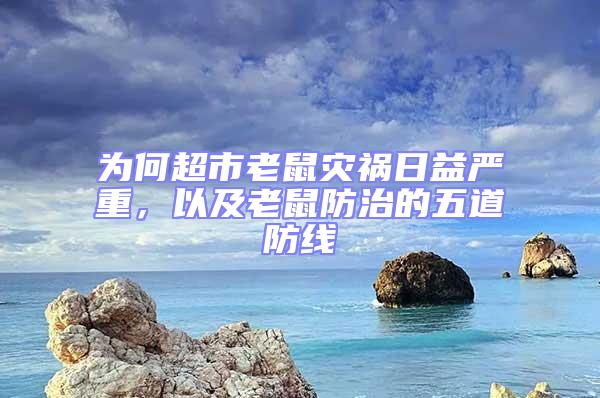 為何超市老鼠災禍日益嚴重，以及老鼠防治的五道防線