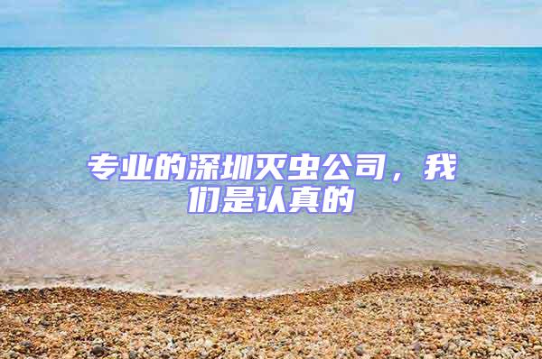 專業的深圳滅蟲公司,我們是認真的