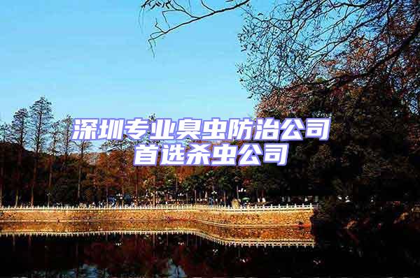 深圳專業(yè)臭蟲(chóng)防治公司 首選殺蟲(chóng)公司