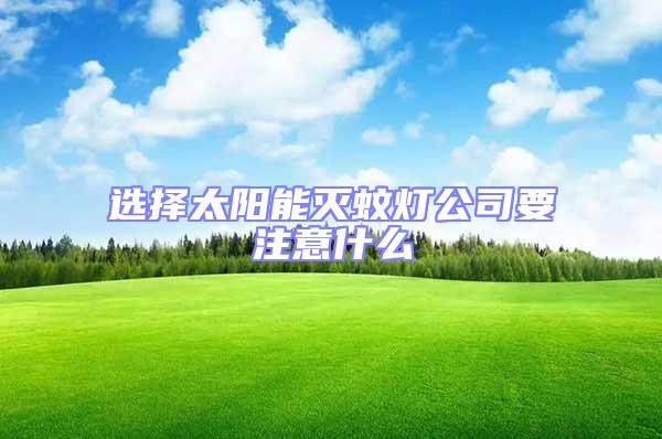 選擇太陽(yáng)能滅蚊燈公司要注意什么