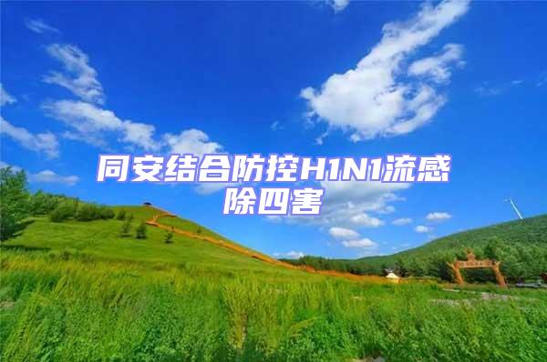 同安結(jié)合防控H1N1流感除四害