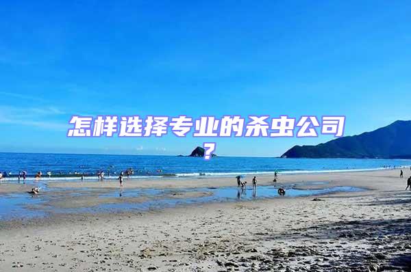 怎樣選擇專業(yè)的殺蟲公司?