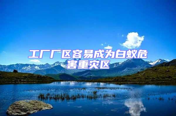 工廠廠區(qū)容易成為白蟻危害重災(zāi)區(qū)