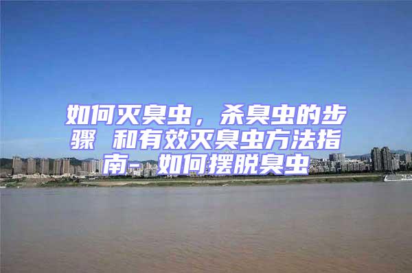 如何滅臭蟲，殺臭蟲的步驟 和有效滅臭蟲方法指南- 如何擺脫臭蟲