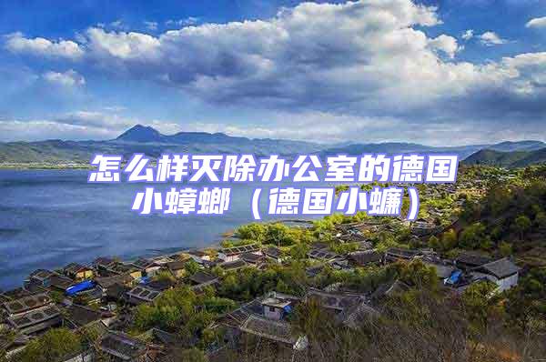 怎么樣滅除辦公室的德國小蟑螂(德國小蠊)
