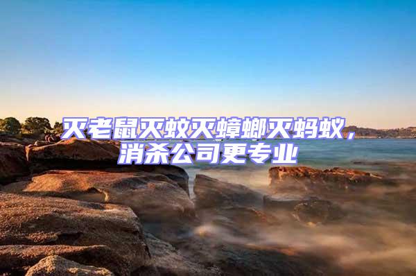滅老鼠滅蚊滅蟑螂滅螞蟻,消殺公司更專業