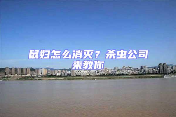 鼠婦怎么消滅？殺蟲公司來教你