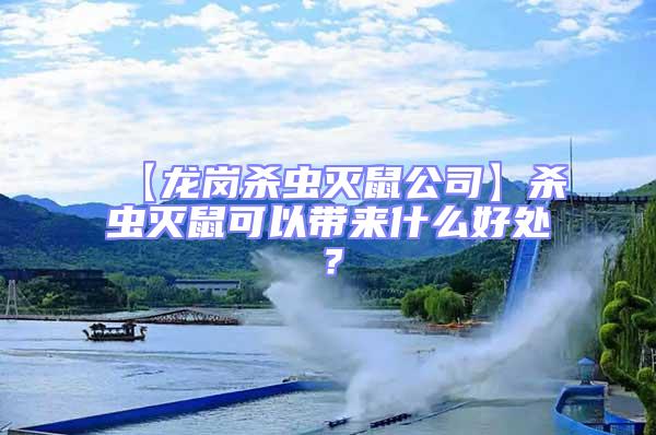 【龍崗殺蟲滅鼠公司】殺蟲滅鼠可以帶來什么好處?