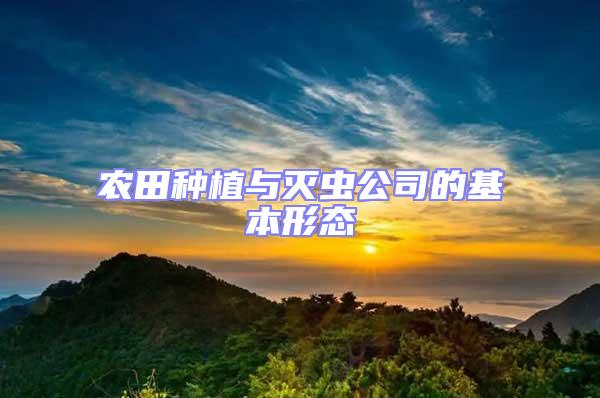 農(nóng)田種植與滅蟲公司的基本形態(tài)