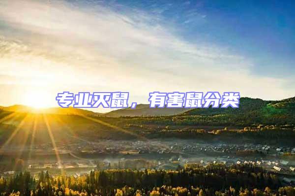 專業滅鼠，有害鼠分類