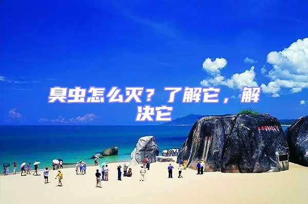 臭蟲怎么滅？了解它，解決它