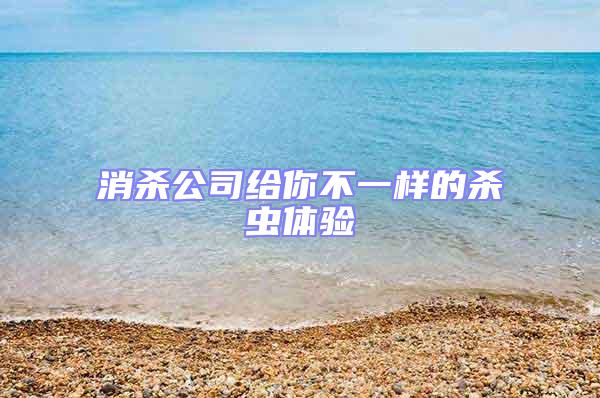 消殺公司給你不一樣的殺蟲(chóng)體驗(yàn)