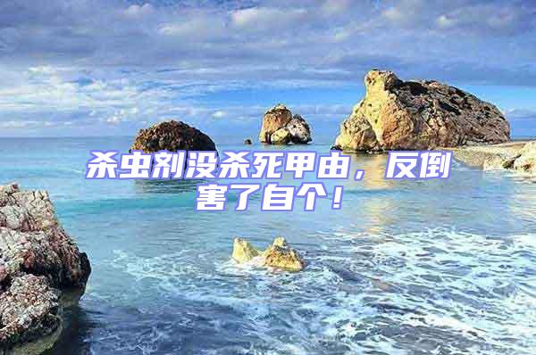 殺蟲(chóng)劑沒(méi)殺死甲由，反倒害了自個(gè)！