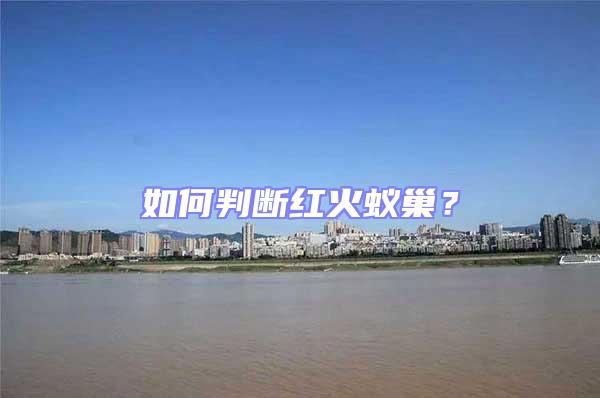 如何判斷紅火蟻巢？