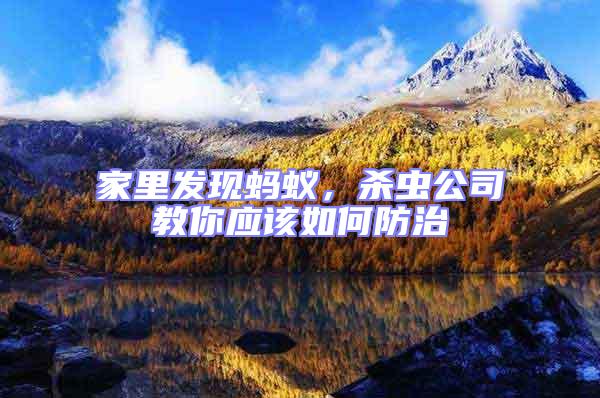 家里發現螞蟻，殺蟲公司教你應該如何防治