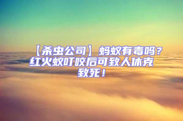 【殺蟲公司】螞蟻有毒嗎？紅火蟻叮咬后可致人休克致死！