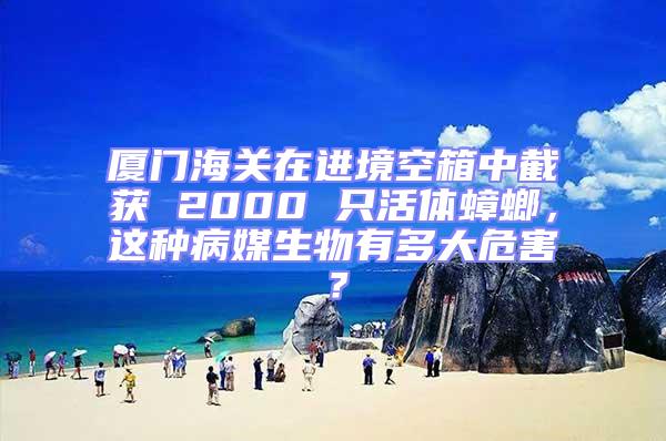 廈門(mén)海關(guān)在進(jìn)境空箱中截獲 2000 只活體蟑螂,這種病媒生物有多大危害?