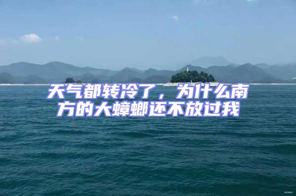 天氣都轉冷了,為什么南方的大蟑螂還不放過我