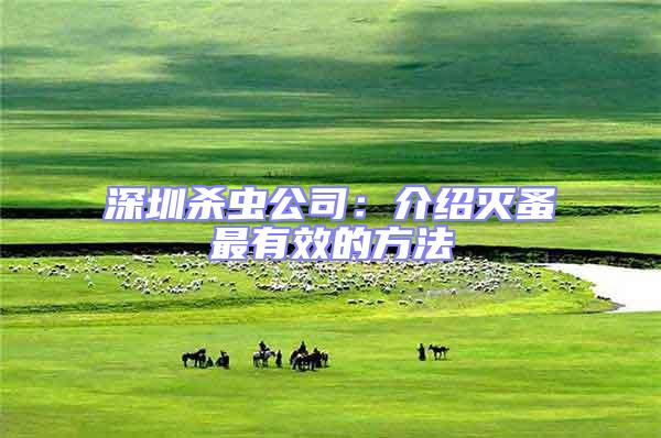 深圳殺蟲(chóng)公司:介紹滅蚤最有效的方法