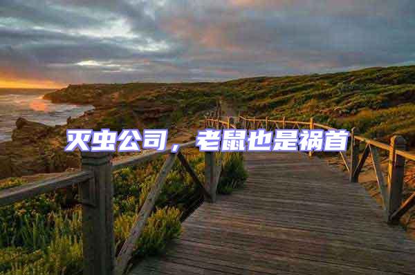 滅蟲公司,老鼠也是禍?zhǔn)?/></p>
									<p style=