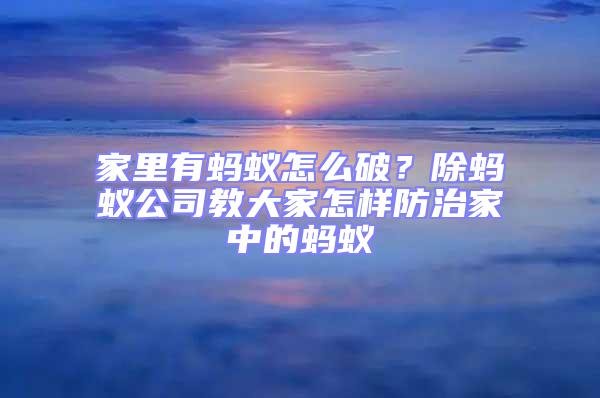 家里有螞蟻怎么破？除螞蟻公司教大家怎樣防治家中的螞蟻