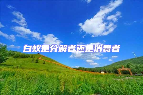 白蟻是分解者還是消費(fèi)者