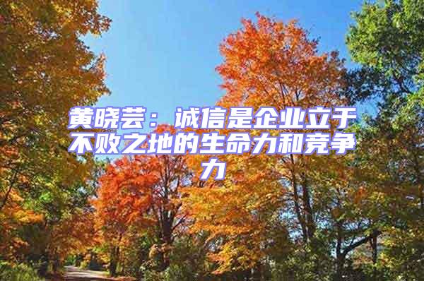 黃曉蕓:誠信是企業立于不敗之地的生命力和競爭力