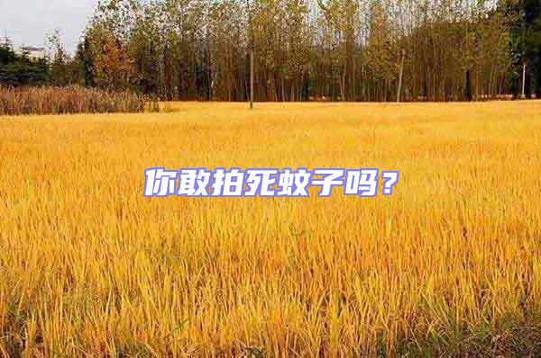 你敢拍死蚊子嗎?